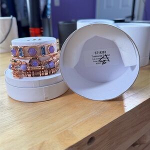 Rose Gold and Purple Bracelet Set